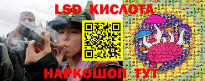 прущие грибы Тула