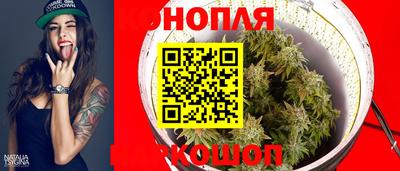 прущие грибы Тула