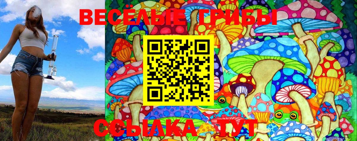 Галлюциногенные грибы Cubensis Людиново