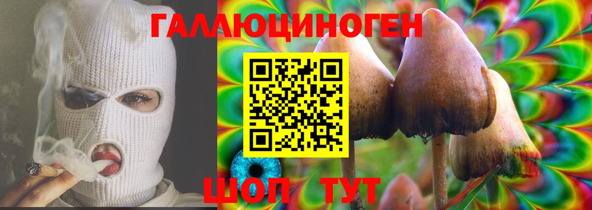 Псилоцибиновые грибы MAGIC MUSHROOMS  Вход с VPN  Людиново 